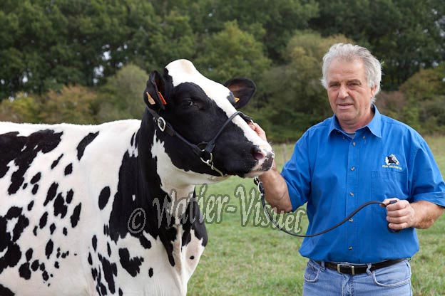 1004D593