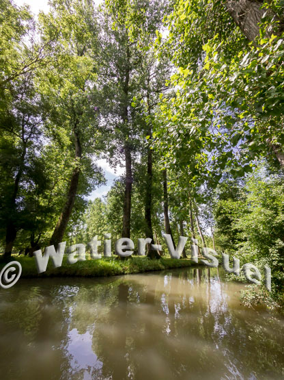 1120D880