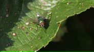 120901B044_v4640