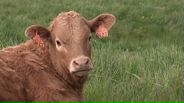 130406B059_v10049
