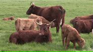 130406B129_v10119