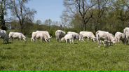 130425B145_v10527