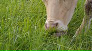 130625B038_v17524