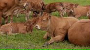 130627B035_v14906