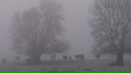 131207B043_v17678