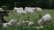 140614B042_v23861