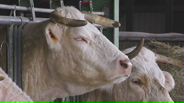 150212B065_v25929