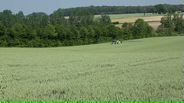 120524B024_v1587
