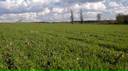 130320B014_v9052