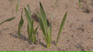 130326B001_v9242