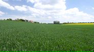 130507B125_v11599