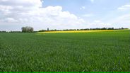 130507B126_v11600