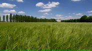 130526B005_v11605