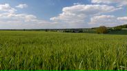 130527B020_v11657