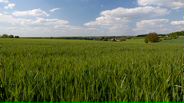 130527B022_v11659