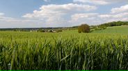 130527B024_v11661