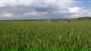 130528B014_v11902