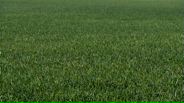 140415B003_v22384