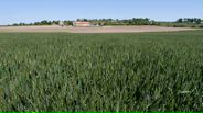 140514B005_v22505