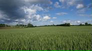 140524B016_v22568