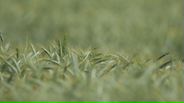 140612B002_v25650