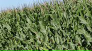 120810B121_v4041
