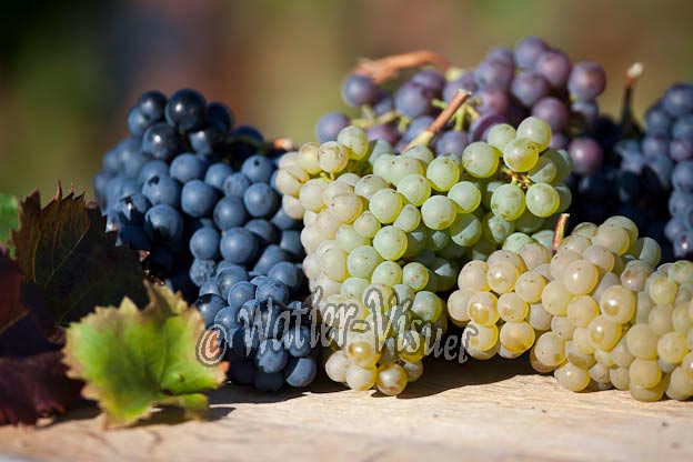 0964D100