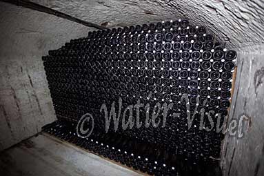 0514D209